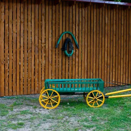 Gasthof Lecu Muiza *